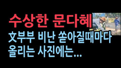 文·김정숙 이번엔 아욱 수확...딸 문다혜가 올린 사진을 보니...
